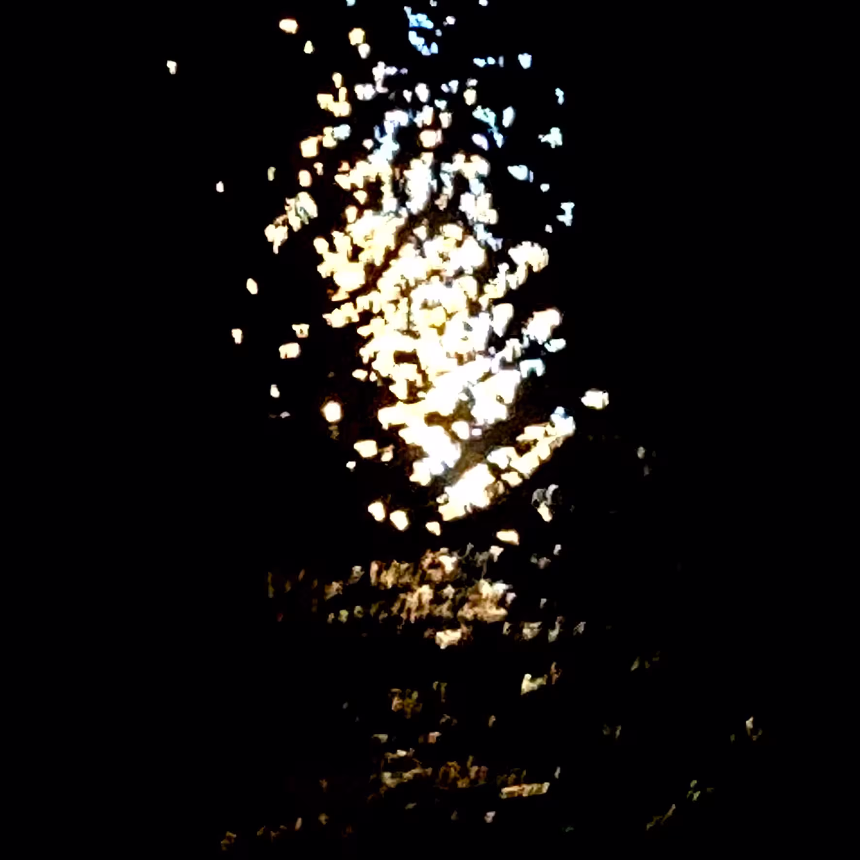 white lights at night
