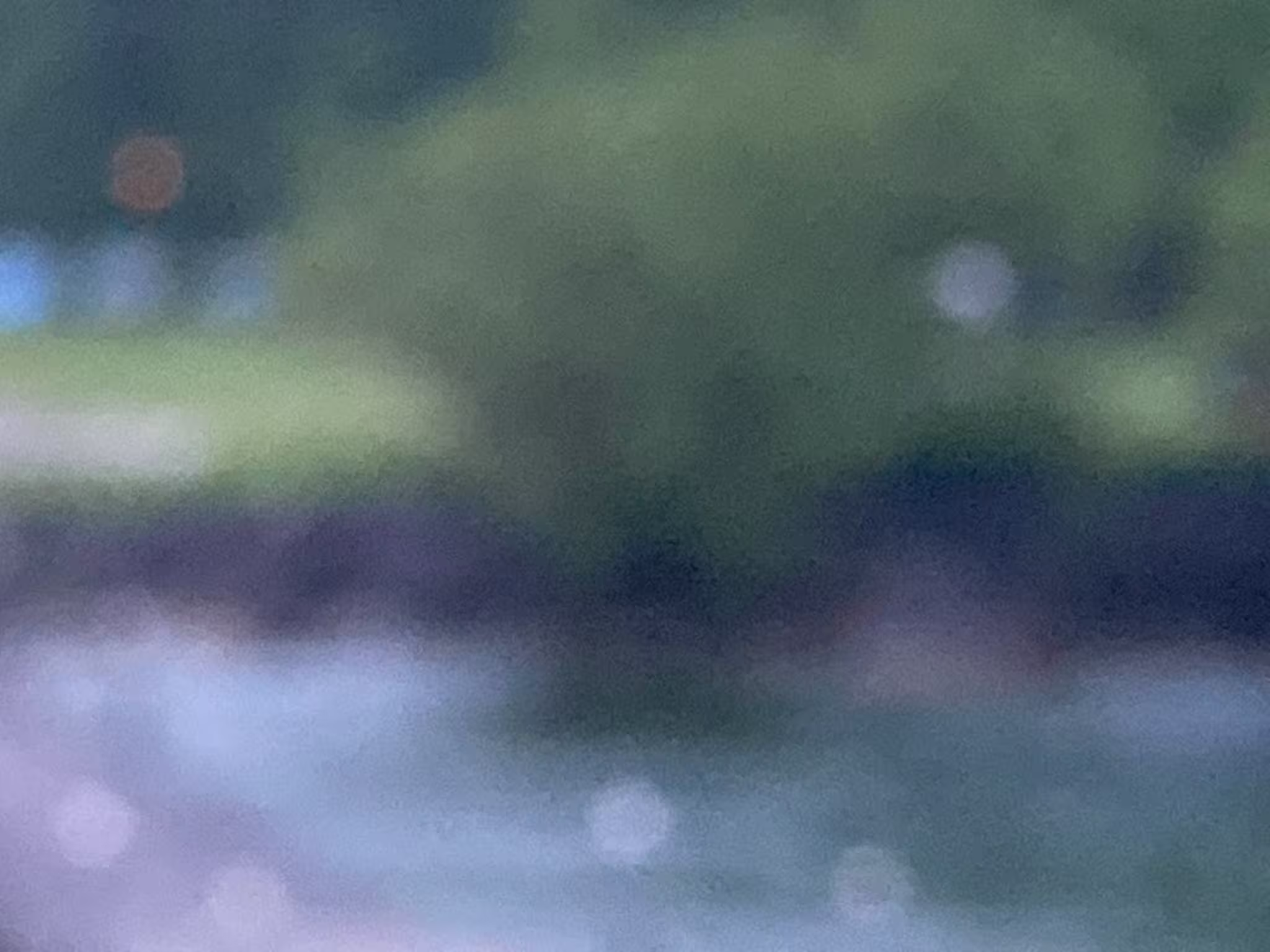 blurry view