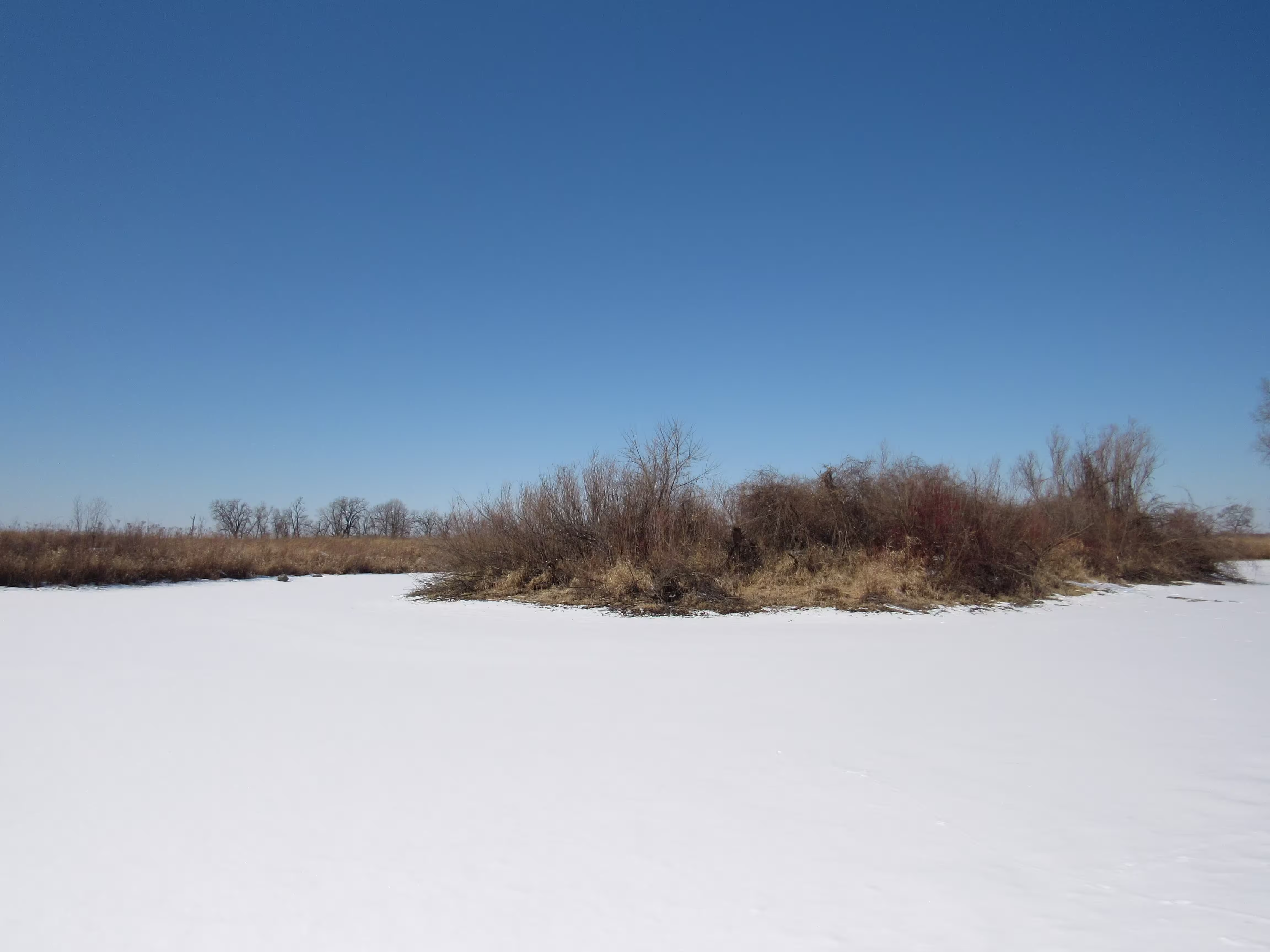 winter desert